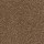 Mohawk Carpet: Refined Saga II 12 Silken Sable